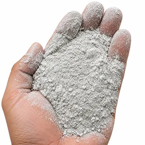 Oyster Shell Powder– 1 KG