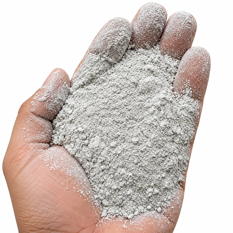 Oyster Shell Powder– 1 KG
